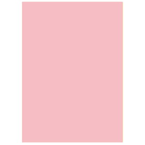 ySSGg[Ń|Cg5{zwix J[Rs[p A4 ItBXp J[R100 sN 2500(500×5) kzR[|[Vwiꕔn揜jx