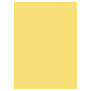 wix J[Rs[p A4 ItBXp J[R100 CG[ 2500(500×5) kzR[|[Vwiꕔn揜jx
