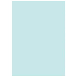 y}\Gg[Ń|Cg5{zwix J[Rs[p A4 ItBXp J[R100 u[ 2500(500×5) kzR[|[Vwiꕔn揜jx