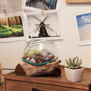 w|Cg5{x TTZ-311 KXIuWF u CeA  Ƌ wsx