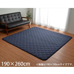 CPqR  LgO hq zbgJ[ybgΉ ` 190×260cm lCr[ SSKK190260 yszyiꕔn揜jz