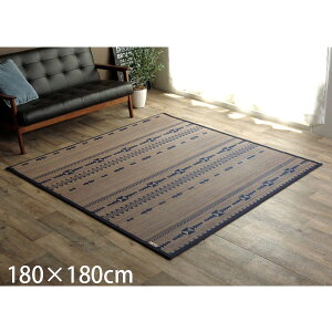 �C�P�q�R �|�J�[�y�b�g DX�W���K�[�h ��180×180cm �l�C�r�[ [ �|�Ђ� �| �J�[�y�b�g �o���u�[���O �V���v�� �T�X�e�B�i�u�� ]�w����s�x�w���������i�ꕔ�n�揜���j�x