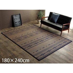 �C�P�q�R �|�J�[�y�b�g DX�W���K�[�h ��180×240m �l�C�r�[ [ �|�Ђ� �| �J�[�y�b�g �o���u�[���O �V���v�� �T�X�e�B�i�u�� ]�w����s�x�w���������i�ꕔ�n�揜���j�x