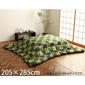 CPqR  zc s͗l ` 205×285cm O[ G6032829 [  |zc | a_ { ]wsxwiꕔn揜jx