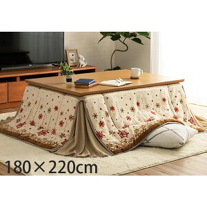 CPqR ~L[ zc ȃXy[X^Cv ` 180×220cm AC{[ G280061721 [  ȃXy[X mfBbN k 􂦂 ]wsxwiꕔn揜jx