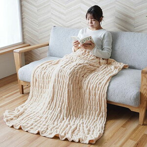 �C�P�q�R �V���N�� �n�[�t�P�b�g 100×140cm �A�C�{���[ SKR1019182 [ �u�����P�b�g �􂦂� �L�k�� �y�� �y�� �g���� �V���v�� ]�w����s�x