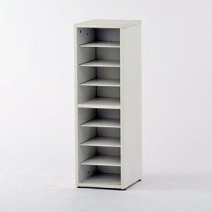 REF}J W[XbpbN zCg RFSR-L2 yszyiꕔn揜jz