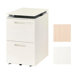 w|Cg5{x y󒍐YizCI V~S o2i _CSV[Y W398×D580×H660`780mm VW-042UDDyiꕔn揜jz