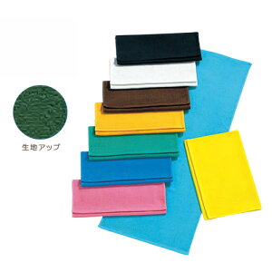 SPJ[220tFCX^I {gO[ 6