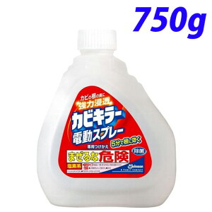JrL[ dXv[ t(750g)