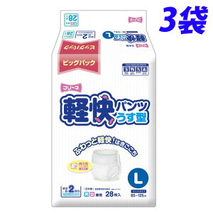 q t[l y pc ^ L 28×3܁yiꕔn揜jz