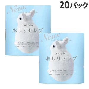 Zu gCbgy[p[ _u  80[(4[×20pbN) lsAwiꕔn揜jx