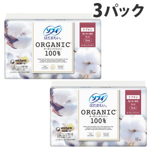 jE`[ \tB ͂ I[KjbNRbg100 ɑp 23cm H 15×3pbN