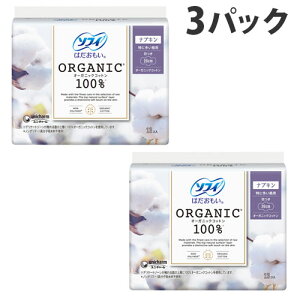 jE`[ \tB ͂ I[KjbNRbg100 ɑp 26cm H 13×3pbN