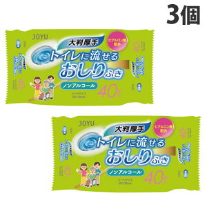 TpvH gCɗ邨ӂ 唻 mAR[ 40×3 ƒ뎆 EFbgV[g gCpi 傫 