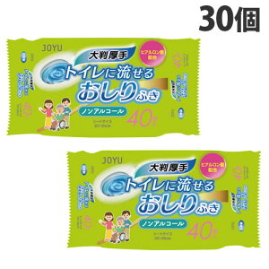 TpvH gCɗ邨ӂ 唻 mAR[ 40×30 ƒ뎆 EFbgV[g gCpi 傫 wiꕔn揜jx