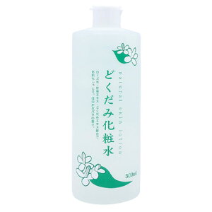 n̉ i`XL[V ǂ݉ϐ 500ml XLPA ϐ Ƃ ێ  F e