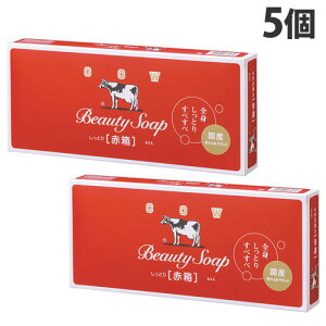 Ό Ō`Ό JEuh Ԕ M[TCY 6P×5 Ό oX   {fB\[v COW BRAND