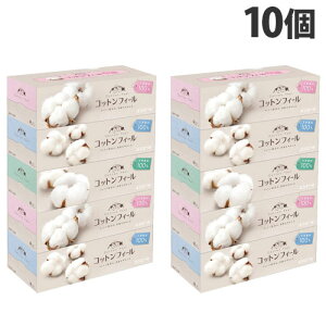 RbgtB[ eBbV 150g 5P 10 GG[wiꕔn揜jx