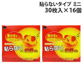 カイロ 貼らない ミニ 30枚入×16個 オカモト 快温くん『送料無料（一部地域除く）』