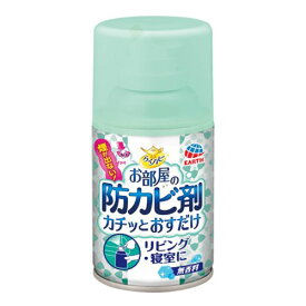 アース製薬 らくハピ お部屋の防カビ剤 カチッとおすだけ 無香料 防カビ 部屋 エアゾール 使い切り カビ防止 ハウスダスト