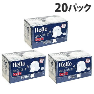 Lb`y[p[ n[ 70 60(3×20pbN)wiꕔn揜jx