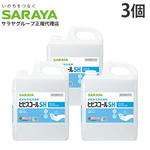 qrXR[ SH 5L 3 RbNt Tww򕔊Oixwiꕔn揜jx