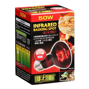 WFbNX q[gO[ ԊOƎ˃X|bgv 50W ঒ gJQ NK T ԊO W^ 錓p