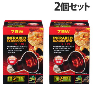 WFbNX q[gO[ ԊOƎ˃X|bgv 75W 2Zbg ঒ gJQ NK T ԊO W^ 錓pwiꕔn揜jx