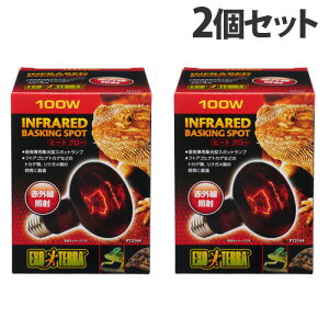 WFbNX q[gO[ ԊOƎ˃X|bgv 100W 2Zbg ঒ gJQ NK T ԊO W^ 錓pwiꕔn揜jx