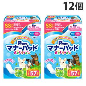 }i[pbh Active P.one rbOpbN SS 57×12wiꕔn揜jx
