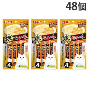 w|Cg10{xȂ CIAO Ă `^Cv ߖ 4{×48 SC-571 ybgt[h ybg Lbgt[h Lp  Icwiꕔn揜jx