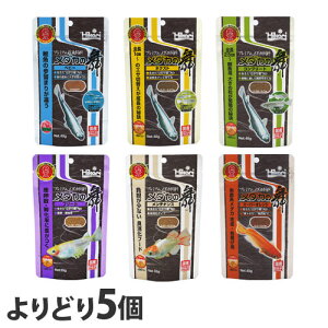 w䂤pPbgzxL[ _J̕ 35g`40g ǂ 5 ybgpi ybg a GT _J Iׂ ANAE Y {wsxwiꕔn揜jx