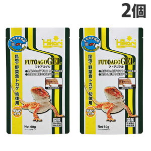 w䂤pPbgzx L[ tgASQ 60g×2 ybg a GT ঒ tgASqQgJQ {wsxwiꕔn揜jx