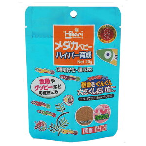 L[ _Jxr[ nCp[琬 V 20g ybg a GT _J  Mы Obs[ t Y