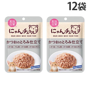 w|Cg10{xɂ` ̂Ƃݎd pE` 40g 12 ͂t[Y Y