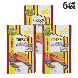 ySSGg[Ń|Cg5{zNX] 50g 6 L[ Ђwiꕔn揜jx