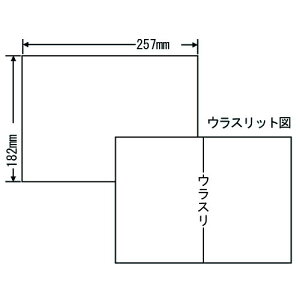 xV[ m C1B5F Ĕ^Cv B5 100V[g×10yszyiꕔn揜jz
