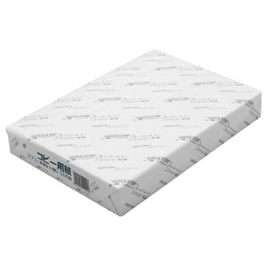 Lbg X[p[GR[ Rs[p }`Ή B4TCY 1 500