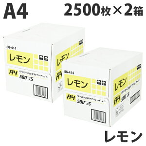 yFSCF؁zJ[Rs[p _CI[J[}`y[p[ A4  5000(2500×2)F `V DM ē f zz J[y[p[ GR Xwiꕔn揜jx