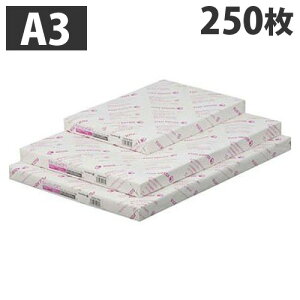コピー用紙 A3 Ncolor081 250枚 富士フイルム