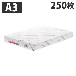 Rs[p A3 Ncolor104 250 xmtC