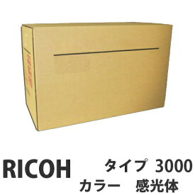 タイプ3000 カラー 純正品 RICOH リコー【代引不可】【送料無料（一部地域除く）】