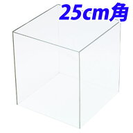 クルーズ アクリルボックス 5面体 25cm角 AB-250