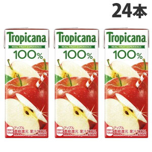 L gsJ[i 100 Abv 250ml×24{  KIRIN W[X ybg{g t[cW[X