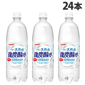 サンガリア 伊賀の天然水強炭酸水 1L×24本 炭酸水 強炭酸水 天然水 飲料 炭酸飲料 ペットボトル飲料 割材 ソーダ『送料無料（一部地域除く）』