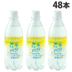 ű̓VR Xp[NO  500ml 48{ Y_ F