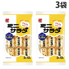 三幸製菓 ミニサラダ しお味 24枚×3袋 食品 お菓子 せんべい 米菓 三幸 サラダ味