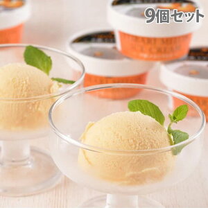 kC [ACX 65ml×9 Mtg i 蕨 ACX fU[g  XC[cwsxwiꕔn揜jx