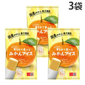 凍らせて食べる 国産みかんアイス 4本入 3袋 谷尾食糧工業